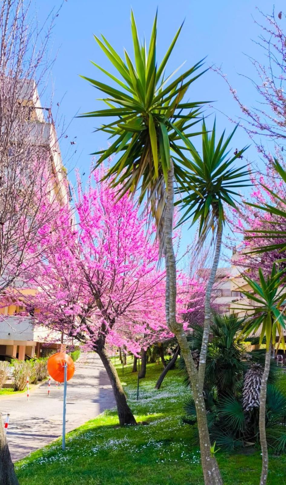 Rome Sweet Home Vitinia Dış mekan fotoğraf