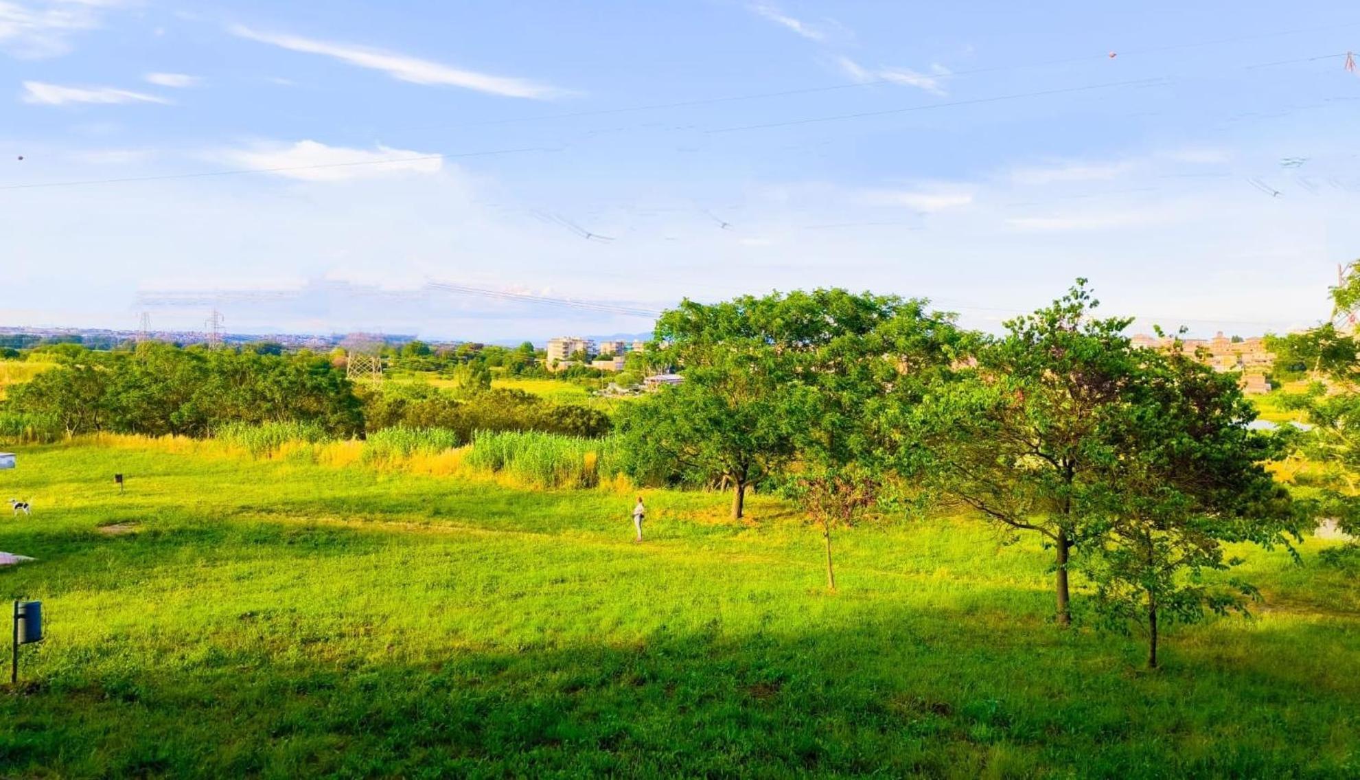 Rome Sweet Home Vitinia Dış mekan fotoğraf